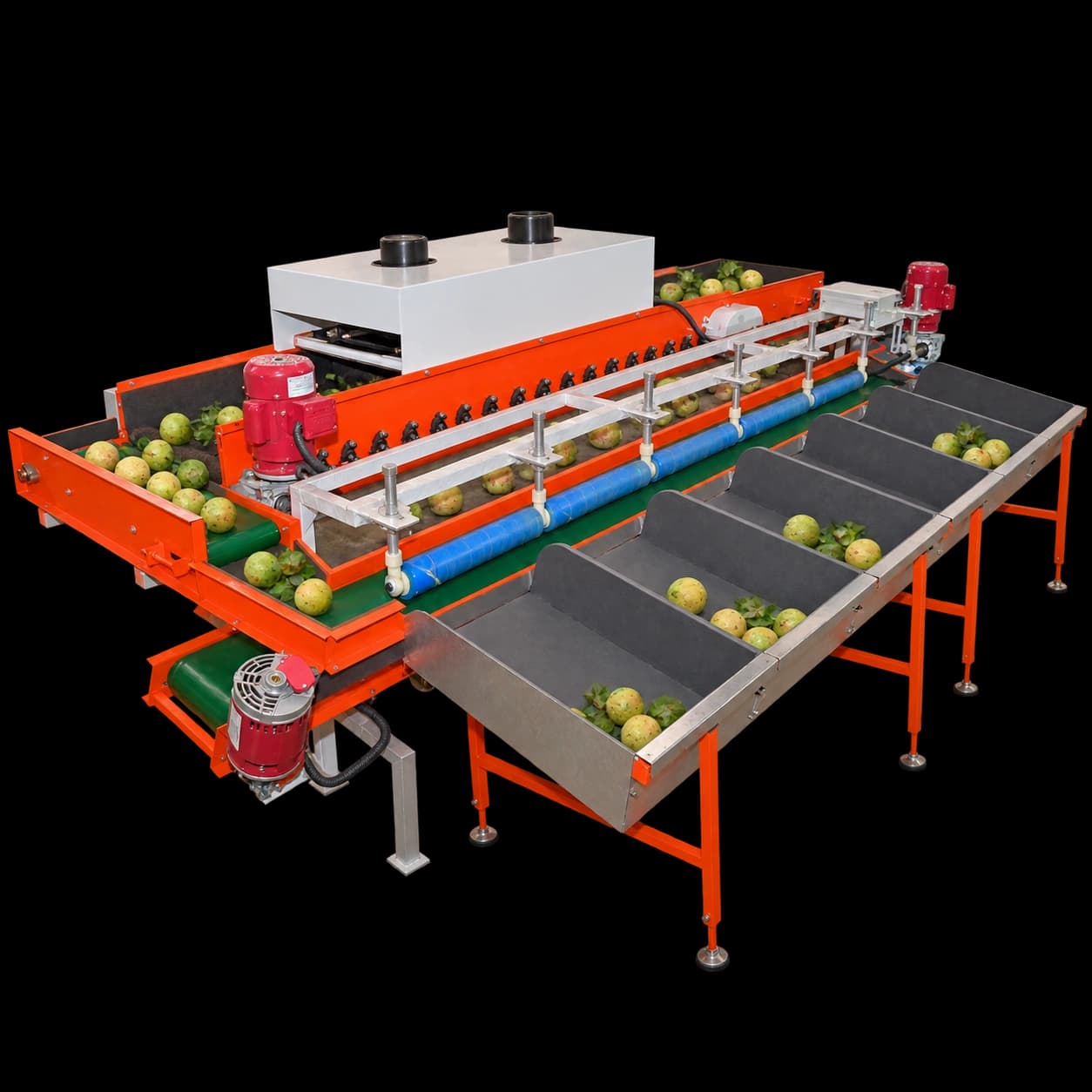 Guava Grading Machine