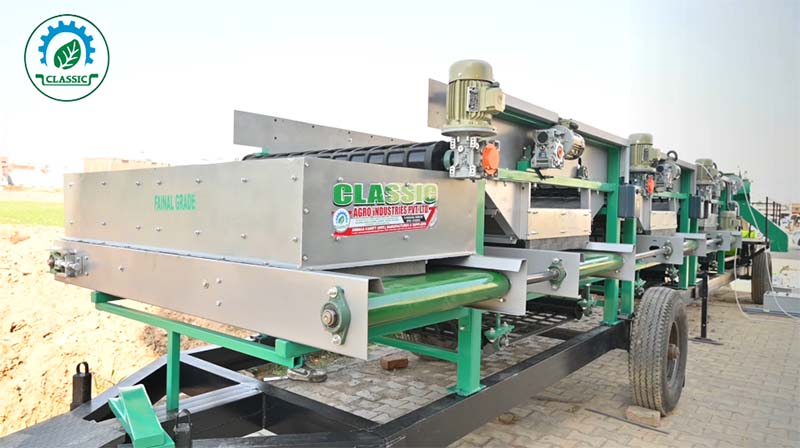 Vegetable Grading Machines