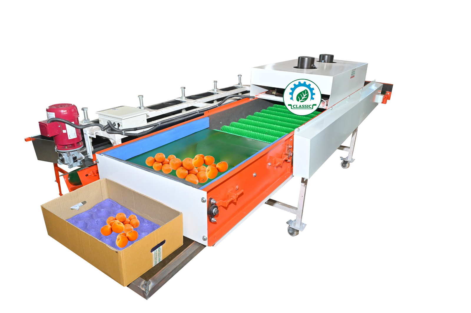 Kinnow Grading Machine