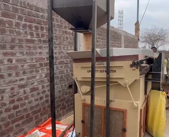 Vegetable Cleaning Machine