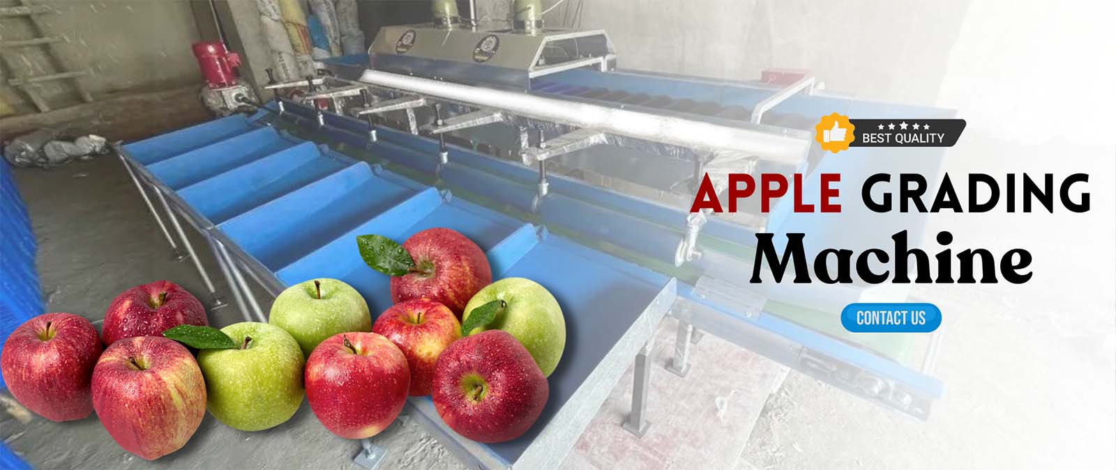 Apple Grading Machine