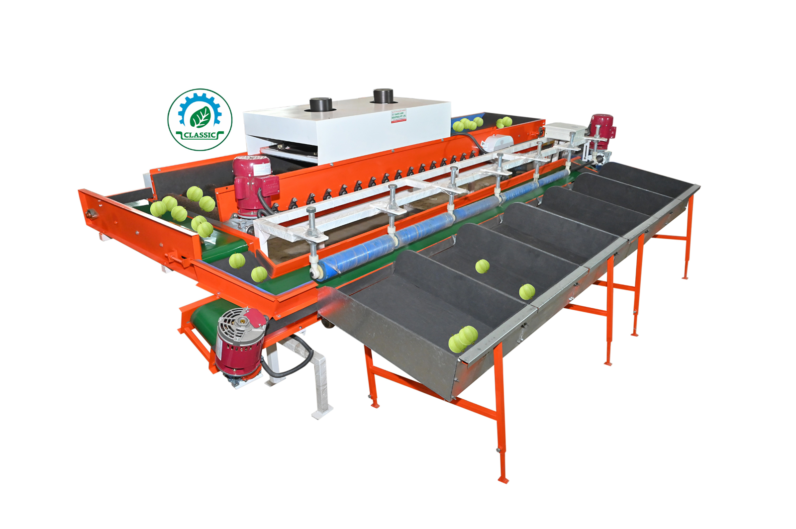 Guava Grading Machine