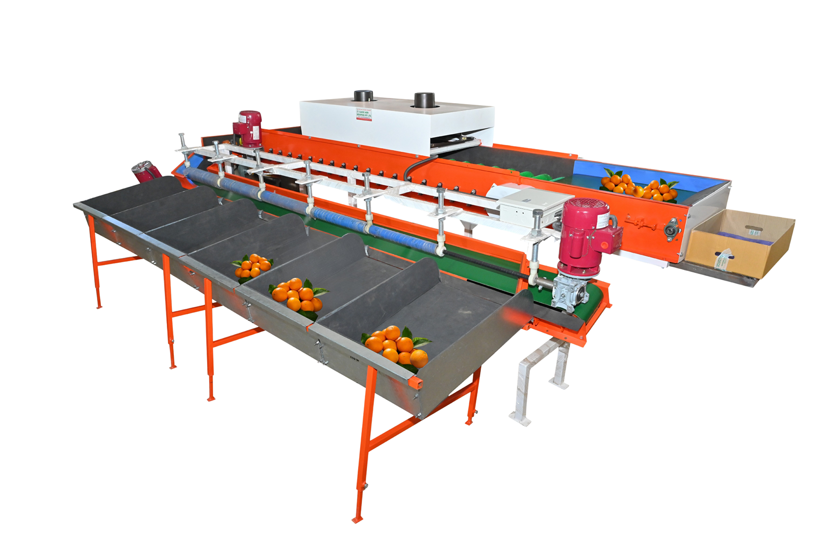 Orange Grading Machine