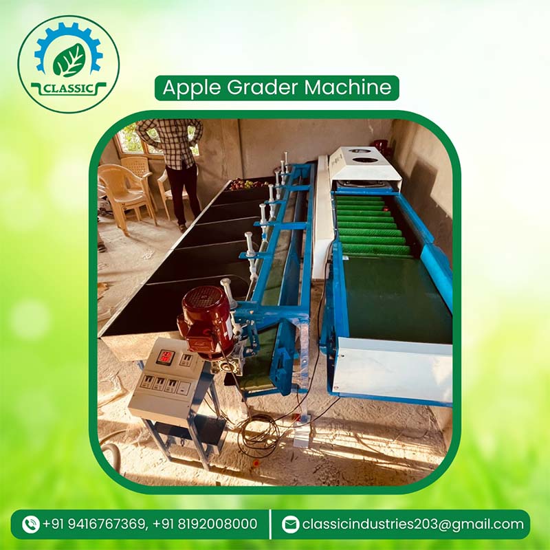 Apple Grading Machine