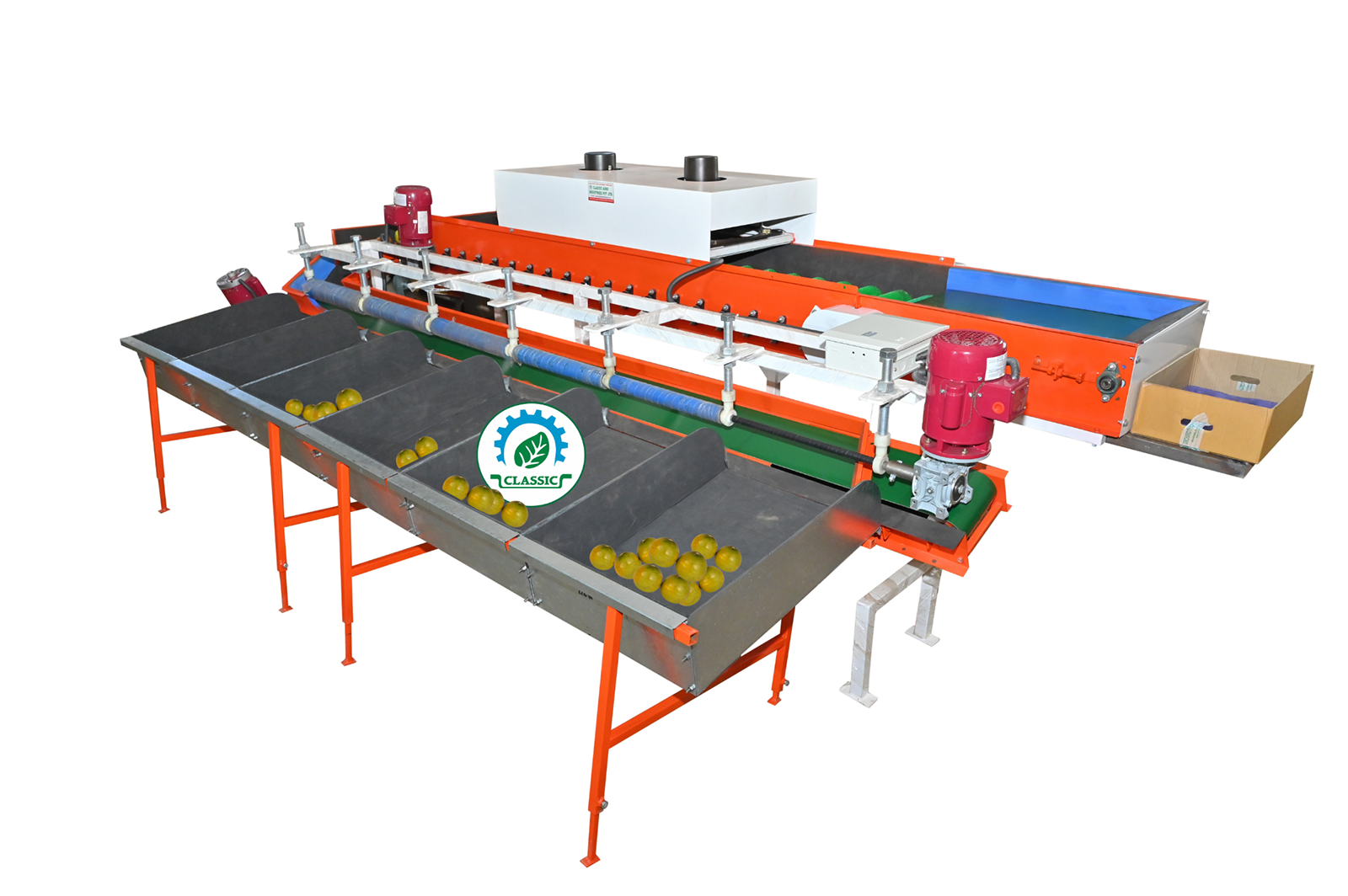 Sweet Lemon Grading Machine