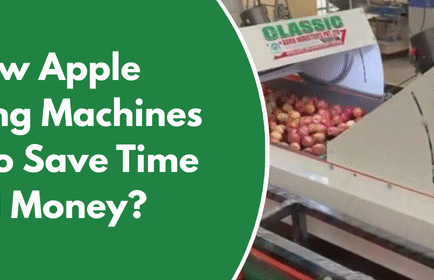 Apple grading machine