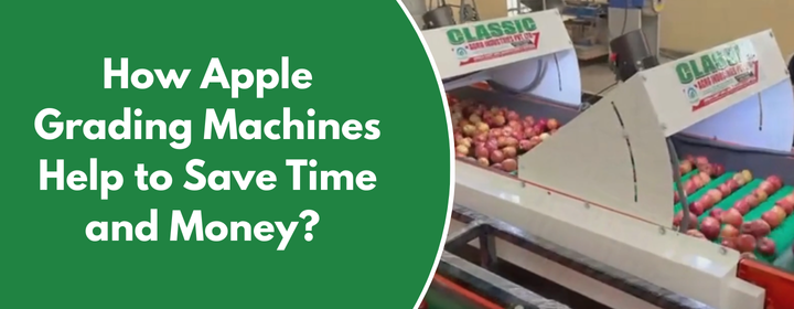 Apple grading machine
