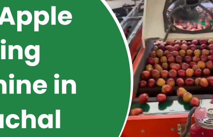 Apple Grading Machine in Himachal