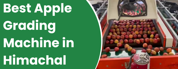 Apple Grading Machine in Himachal