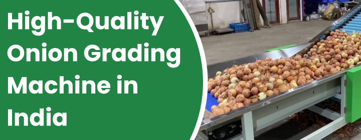 Onion Grading Machine