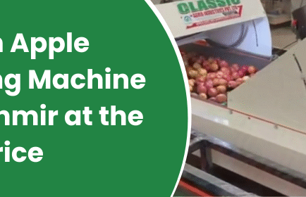 apple grading machine in Kashmir