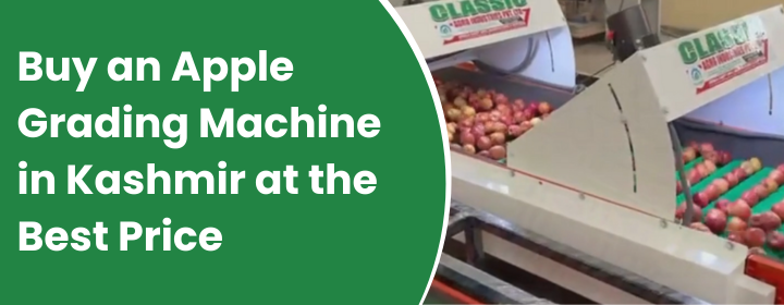 apple grading machine in Kashmir