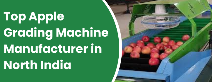 Apple Grading Machine