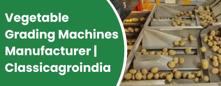 Vegetable Grading Machines