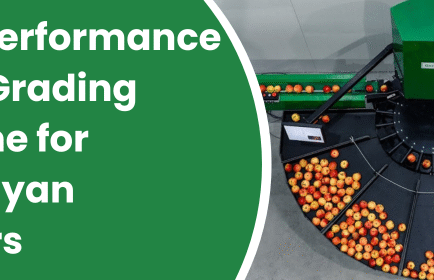 Apple Grading Machine