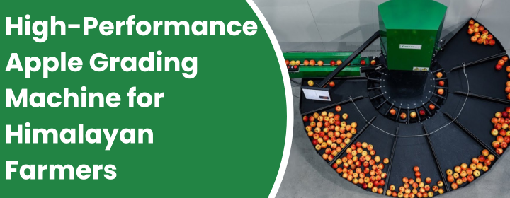 Apple Grading Machine