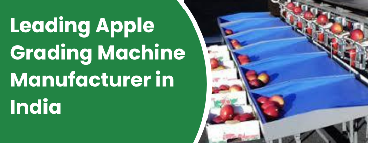 Apple Grading Machine